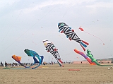 Cervia 2011-024